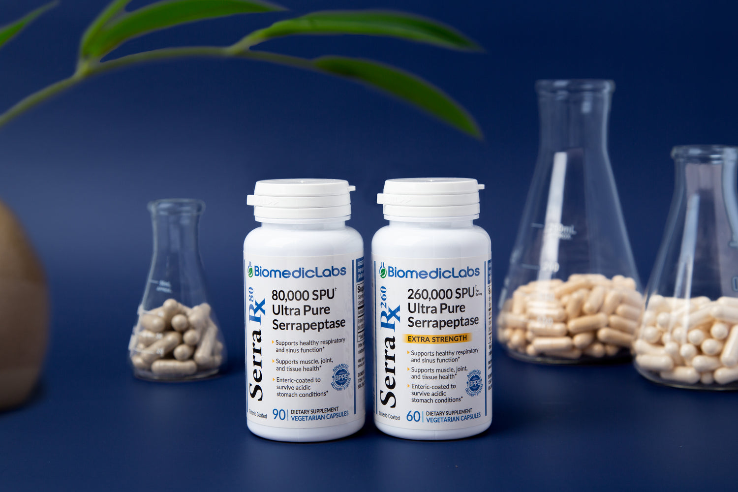 What is Enzyme Activity?