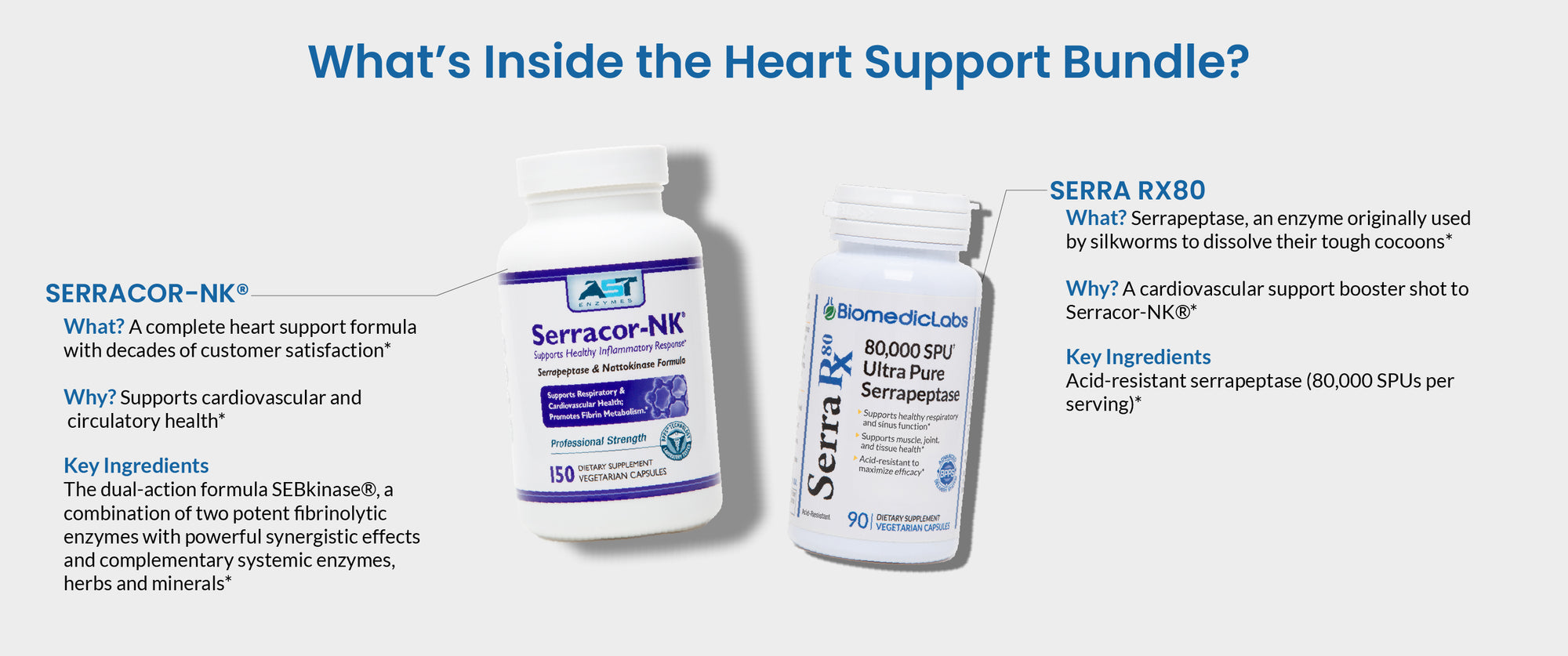 Heart Support Base Heart Support Bundle — Biomedic Labs